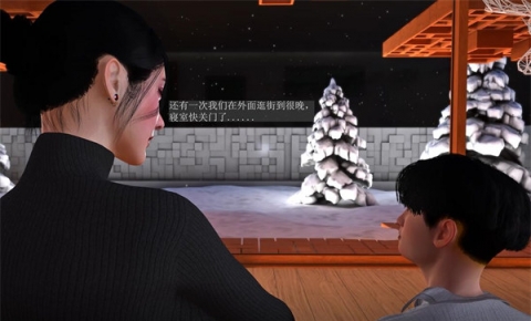 《Brainocn 11月：雪夜母子 2K中字》[3D动漫][5G][度盘/微云]